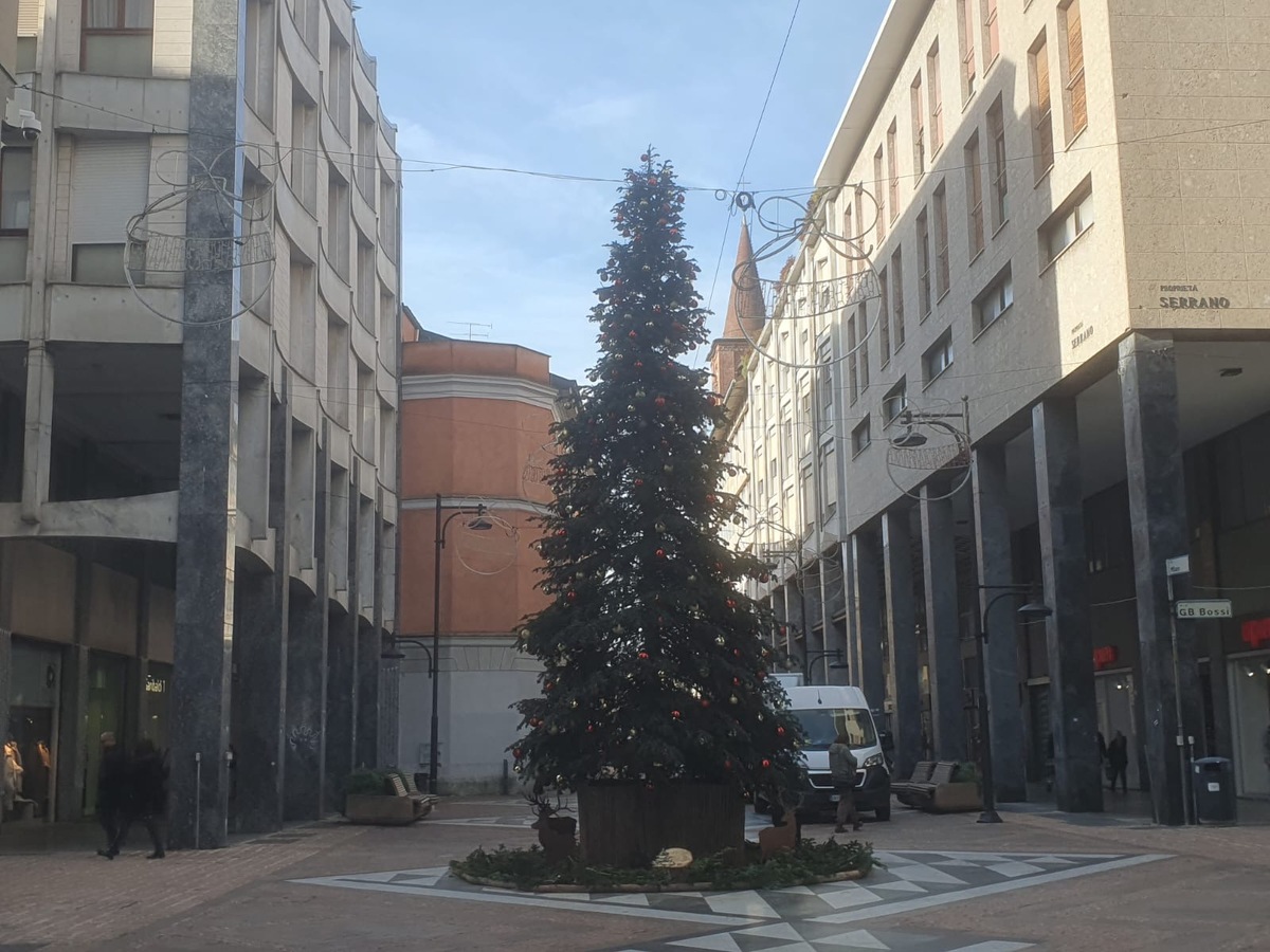 https://www.varesenoi.it/fileadmin/archivio/ilbustese/2025/11/natale-busto_2025_albero_viamilanof2adcf91-8b00-4c2b-a99e-09980c914983.JPG