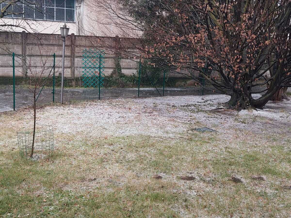 https://www.varesenoi.it/fileadmin/archivio/ilbustese/2026/02/grandine_olgiate_PHOTO-2026-02-09-16-14-08.jpg