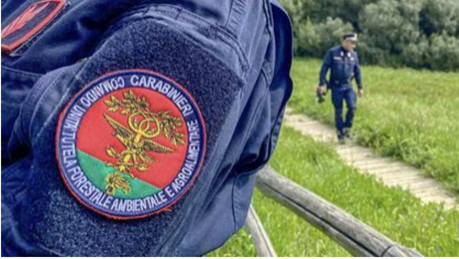https://www.varesenoi.it/fileadmin/archivio/ilbustese/2026/04/carabinieri_forestali_generica.png