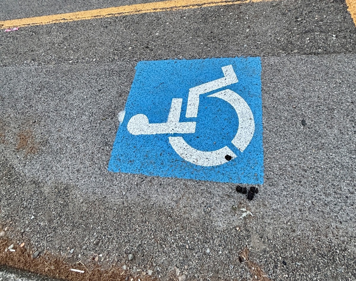 https://www.varesenoi.it/fileadmin/archivio/ilbustese/2026/07/disabili_parcheggio_merda_IMG_3690.JPG