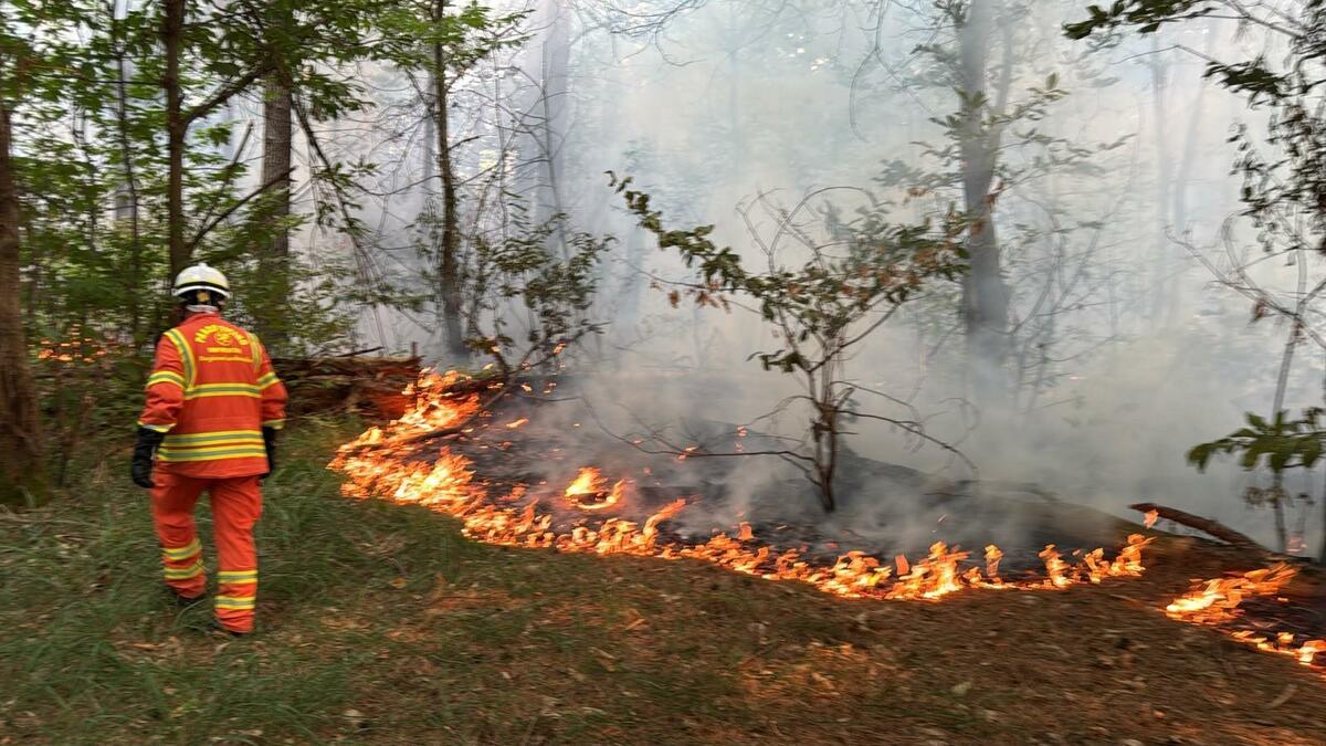 https://www.varesenoi.it/fileadmin/archivio/ilbustese/2026/07/parco_ticino_1incendi5.jpg