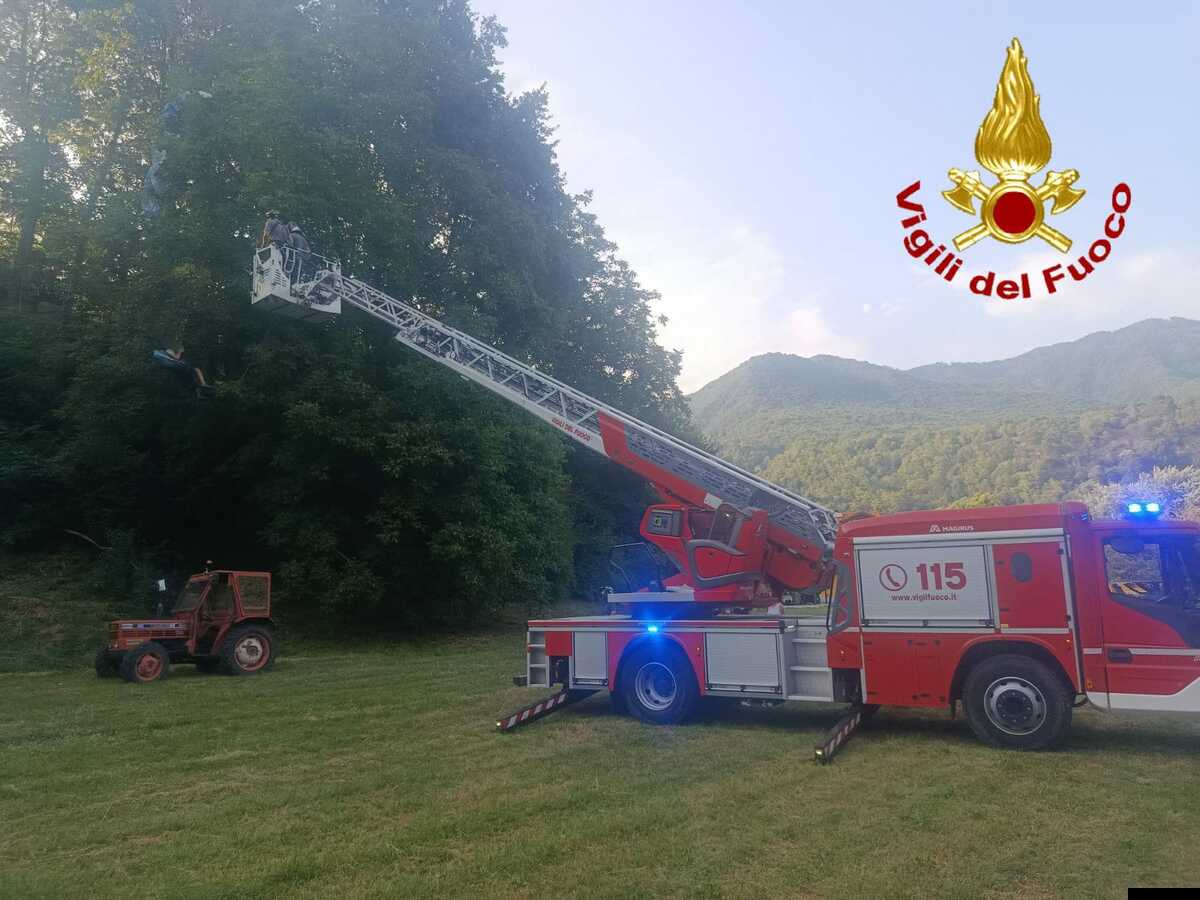 https://www.varesenoi.it/fileadmin/archivio/ilbustese/2026/08/WhatsApp_Image_2026-08-04_at_21.37.10.jpeg