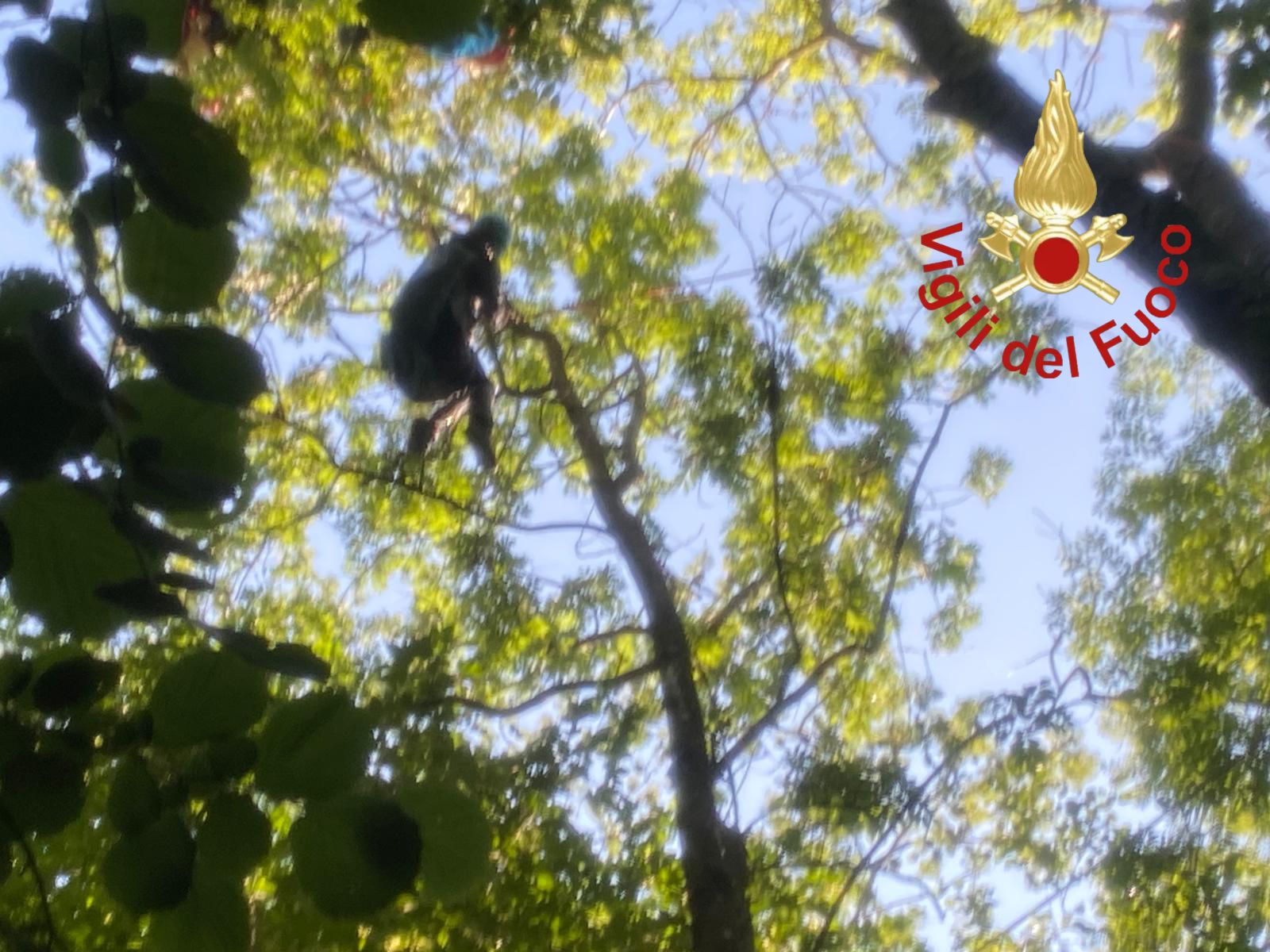 https://www.varesenoi.it/fileadmin/archivio/varesenoi/2025/06/parapendio_1.jpeg