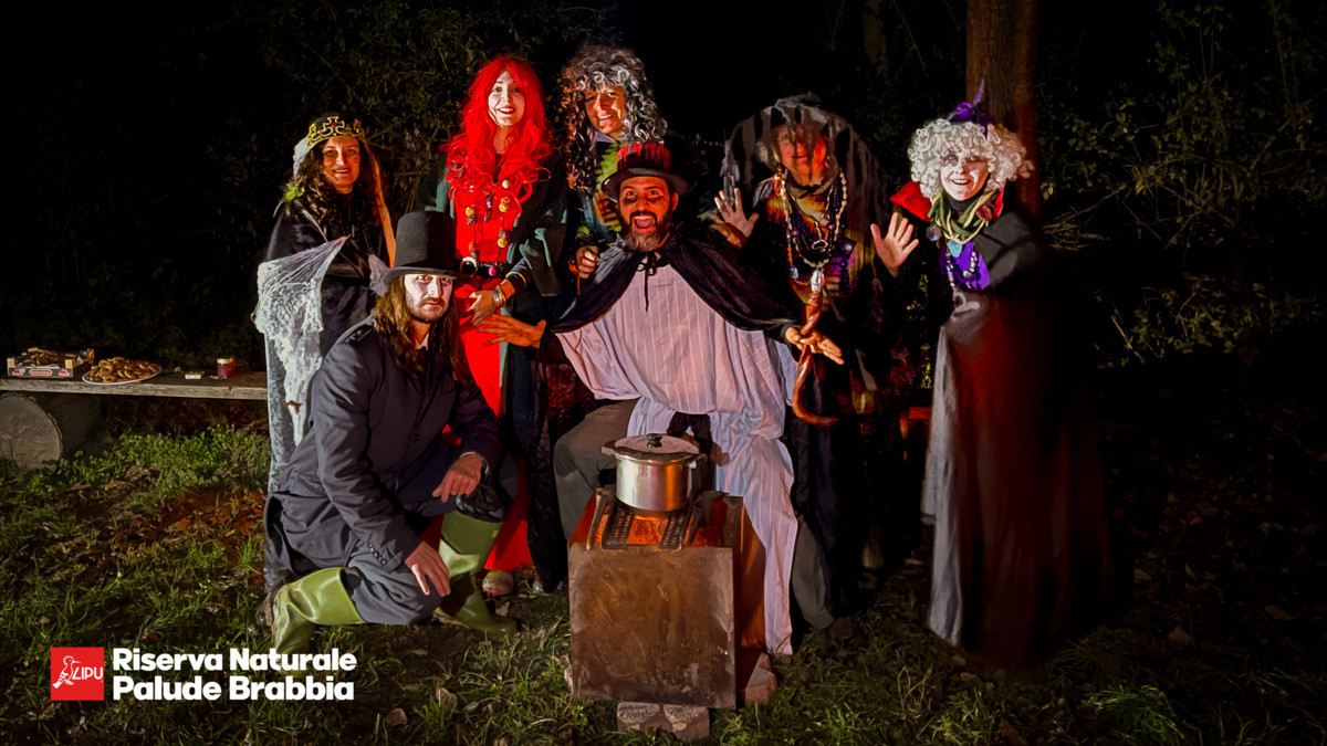 https://www.varesenoi.it/fileadmin/archivio/varesenoi/2025/10/PaludeBrabbiaHalloween25.jpg
