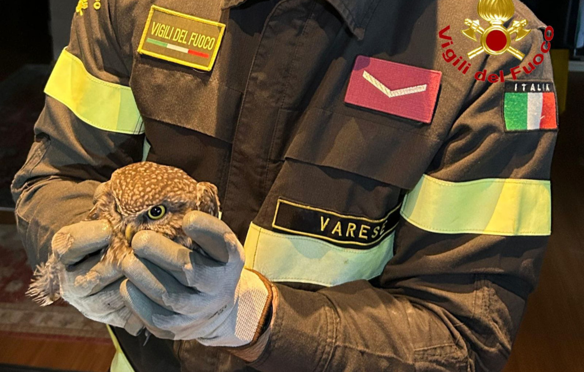 https://www.varesenoi.it/fileadmin/archivio/varesenoi/2025/12/VigilidelFuocoCivetta.jpg