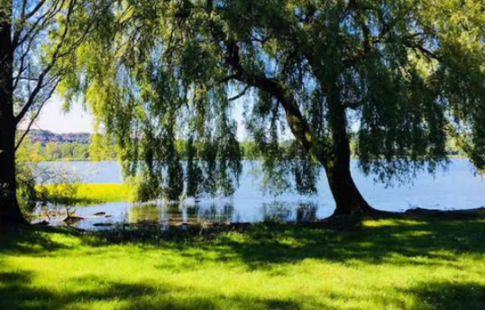https://www.varesenoi.it/fileadmin/archivio/varesenoi/2026/07/Estate_al_lago_2026_locandina.png