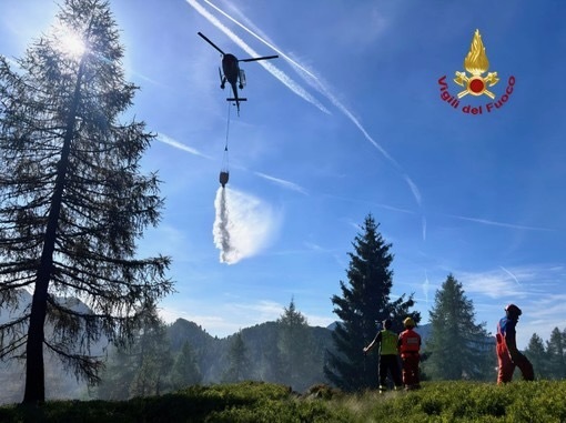 https://www.varesenoi.it/fileadmin/archivio/varesenoi/2026/07/incendio_ossola_p_d55f8de135.jpeg