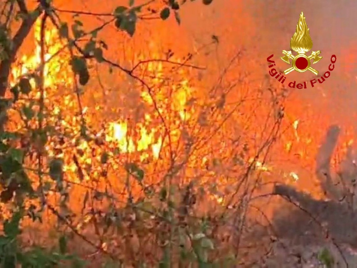 https://www.varesenoi.it/fileadmin/archivio/varesenoi/2026/08/incendio-ranciob3fdbb49-4018-43a2-8015-995bca7cb688.JPG