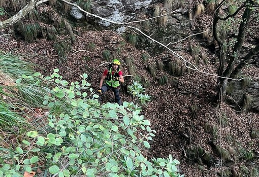 Ritrovati illesi due cercatori di funghi dispersi in val Vigezzo Ritrovati illesi due cercatori di funghi dispersi in val Vigezzo