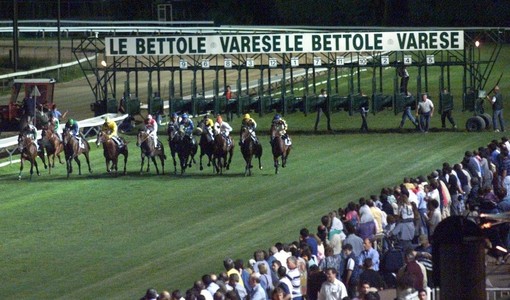 cavallo disarciona il fantino e fugge per le strade di Varese – Varesenoi.it cavallo disarciona il fantino e fugge per le strade di Varese – Varesenoi.it