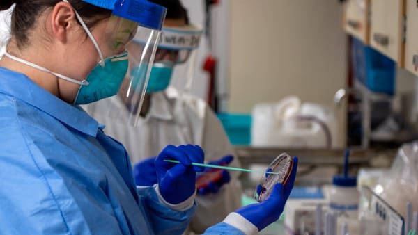 Scoperto a Lodi il primo caso di Dengue in Lombardia – Varesenoi.it Scoperto a Lodi il primo caso di Dengue in Lombardia – Varesenoi.it