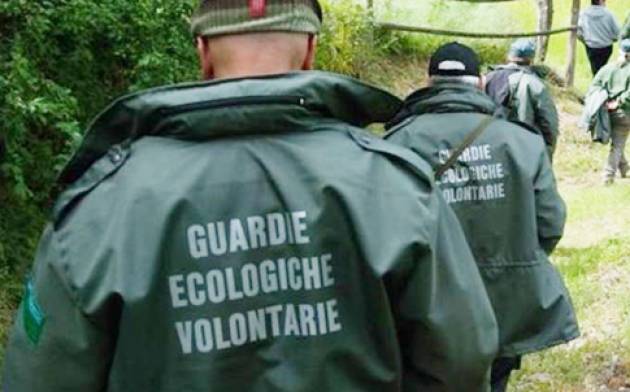 https://www.varesenoi.it/fileadmin/archivio/varesenoi/documenti/gev.jpg