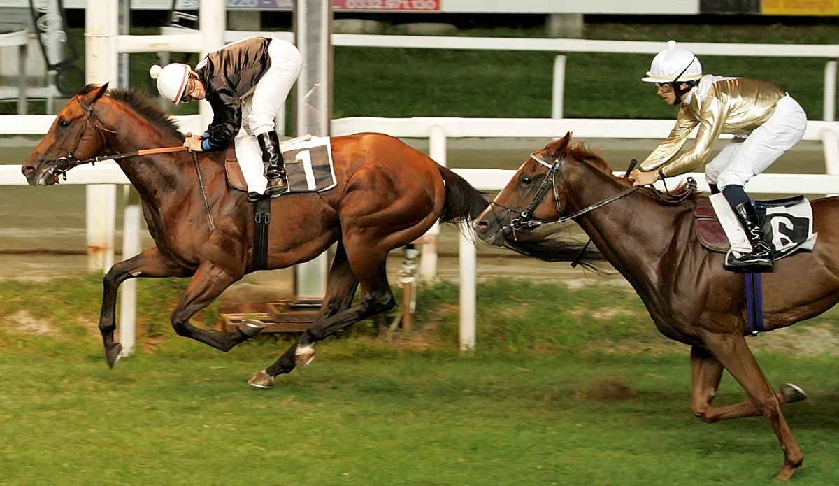 Domani sera alle Bettole torna l'ingresso