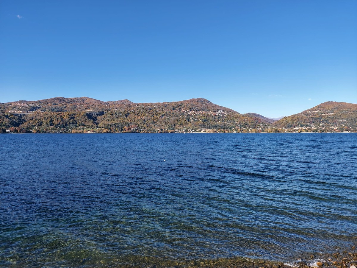 https://www.varesenoi.it/fileadmin/archivio/varesenoi/varese/LagoMaggiore_daRanco_.jpeg