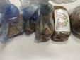 La droga sequestrata La droga sequestrata