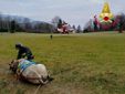 Le complesse operazioni di salvataggio della mucca e dell'asino rimasti bloccati nei boschi di Masciago Primo