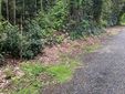 La situazione di via Vignacce a Gavirate La situazione di via Vignacce a Gavirate