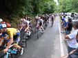 Immagini della 48esima edizione della Piccola Tre Valli Varesine a Casale Litta Immagini della 48esima edizione della Piccola Tre Valli Varesine a Casale Litta