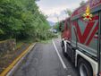 Vigili del fuoco in azione oggi in provincia per rimuovere piante cadute Vigili del fuoco in azione oggi in provincia per rimuovere piante cadute