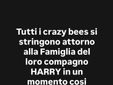 Il messaggio di vicinanza dei Crazy Bees dell'hockey
