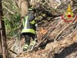 Le immagini dell'incendio nei boschi sopra Laveno Mombello