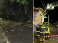 Un albero caduto a Busto Arsizio e Vigili del fuoco al lavoro nella notte a Samarate (foto dalla pagina Facebook del Comune)