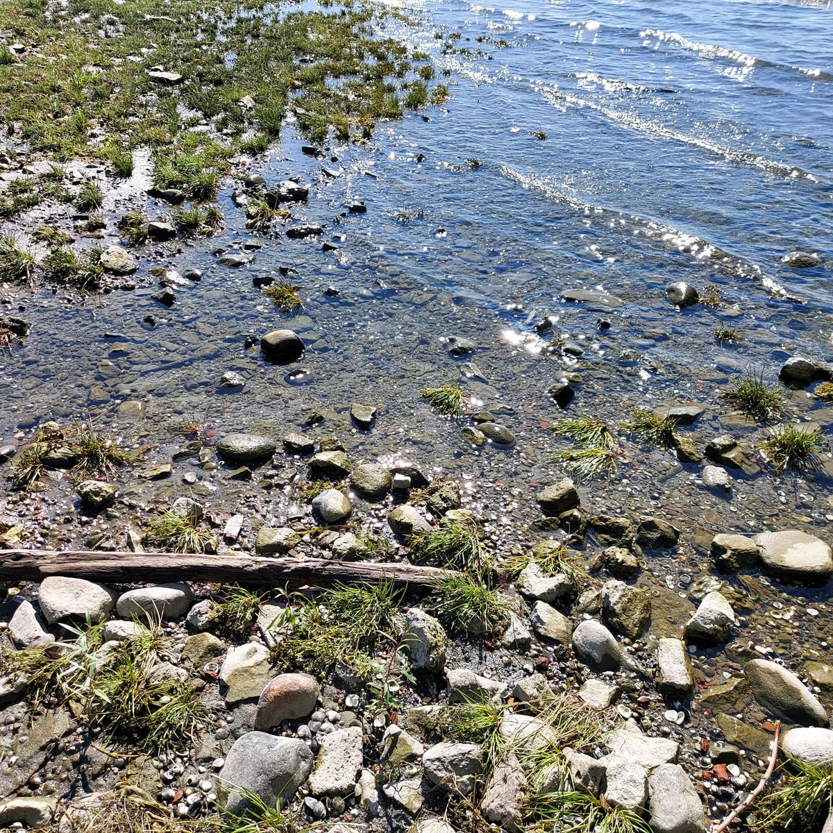 L'allarme di Coldiretti sulla siccità: «Lombardia a secco, mancano 2 miliardi di metri cubi d'acqua»