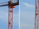 Saronno, entrano in un cantiere e si arrampicano su una gru Saronno, entrano in un cantiere e si arrampicano su una gru