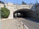 (foto tratta da IlSaronno.it)