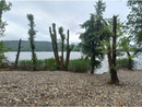 La spiaggia abusiva sul lago di Comabbio