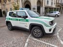 Rapina in un negozio etnico di Gallarate, arrestato un giovane Rapina in un negozio etnico di Gallarate, arrestato un giovane