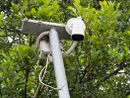 La nuova telecamera sul pontile di Cadrezzate distrutta dai vandali La nuova telecamera sul pontile di Cadrezzate distrutta dai vandali