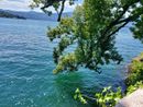 Uno scorcio del lago Maggiore dal Parco delle Torrazze di Laveno Uno scorcio del lago Maggiore dal Parco delle Torrazze di Laveno