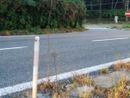Un tratto della superstrada Besozzo-Vergiate