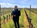 Lo scrittore sommelier varesino Eugenio Marangoni in mezzo alle sue amate vigne Lo scrittore sommelier varesino Eugenio Marangoni in mezzo alle sue amate vigne