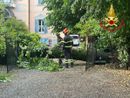 Alberi caduti tra Varese e Malnate a causa del violento temporale notturno