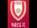 «Ecco il nuovo logo sulle maglie del Varese Football Club» «Ecco il nuovo logo sulle maglie del Varese Football Club»