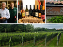 Fabio Cazzani insieme ai figli Pascale ed Elia, i vigneti della Cascina Ronchetto di Morazzone e otto bottiglie "figlie" della nostra terra Fabio Cazzani insieme ai figli Pascale ed Elia, i vigneti della Cascina Ronchetto di Morazzone e otto bottiglie "figlie" della nostra terra