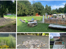 Scorci di parco Mantegazza a Masnago, tra aree verdi, giochi per i bambini, chiosco, castello e... sanpietrini da sistemare