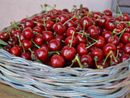 Belle e buone: le amarene