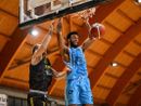 Varese, sotto canestro arriva Renfro. È lui il titolare voluto da Kastritis Varese, sotto canestro arriva Renfro. È lui il titolare voluto da Kastritis