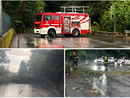 Viale Piero Chiara a Varese, i vigili del fuoco liberano la strada dal crollo di una pianta che fortunatamente non ha visto coinvolti messi sulla grande arteria di scorrimento Viale Piero Chiara a Varese, i vigili del fuoco liberano la strada dal crollo di una pianta che fortunatamente non ha visto coinvolti messi sulla grande arteria di scorrimento