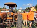 Una delle passate edizioni della Fiera dell'Agricoltura di Monvalle (foto di Francesca Milani dalla pagina Facebook della manifestazione) Una delle passate edizioni della Fiera dell'Agricoltura di Monvalle (foto di Francesca Milani dalla pagina Facebook della manifestazione)
