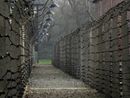 «Ministra Roccella, quelle ad Auschwitz non erano "gite". Spero voglia chiedere scusa alle mamme che non hanno rivisto i propri figli inceneriti»
