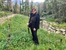 Azzio, dal cantiere della fognatura nasce un bosco di 700 arbusti