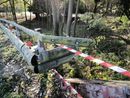 Auto si schianta sulla curva a Olgiate, coinvolti 4 giovani: uno è grave Auto si schianta sulla curva a Olgiate, coinvolti 4 giovani: uno è grave