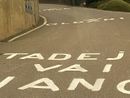 Ciclismo puro: una mano benevola chiede a Pogacar di non farli morire tutti sulla salita delle Cinque Piante che da Oltrona condurrà a Barasso. Più avanti qualcuno inneggia anche Renzo Oldani, patron della Binda Ciclismo puro: una mano benevola chiede a Pogacar di non farli morire tutti sulla salita delle Cinque Piante che da Oltrona condurrà a Barasso. Più avanti qualcuno inneggia anche Renzo Oldani, patron della Binda