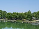 Il lago di Varese che vogliamo: sabato 6 luglio a Gavirate una giornata dedicata al risanamento, ma anche allo sport e alla gastronomia