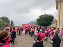 Una delle passate edizioni della Camminata Rosa di Laveno