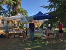 I Giardini Estensi diventano un grande mercato a chilometro zero: appuntamento con la &quot;Fiera del Des&quot;